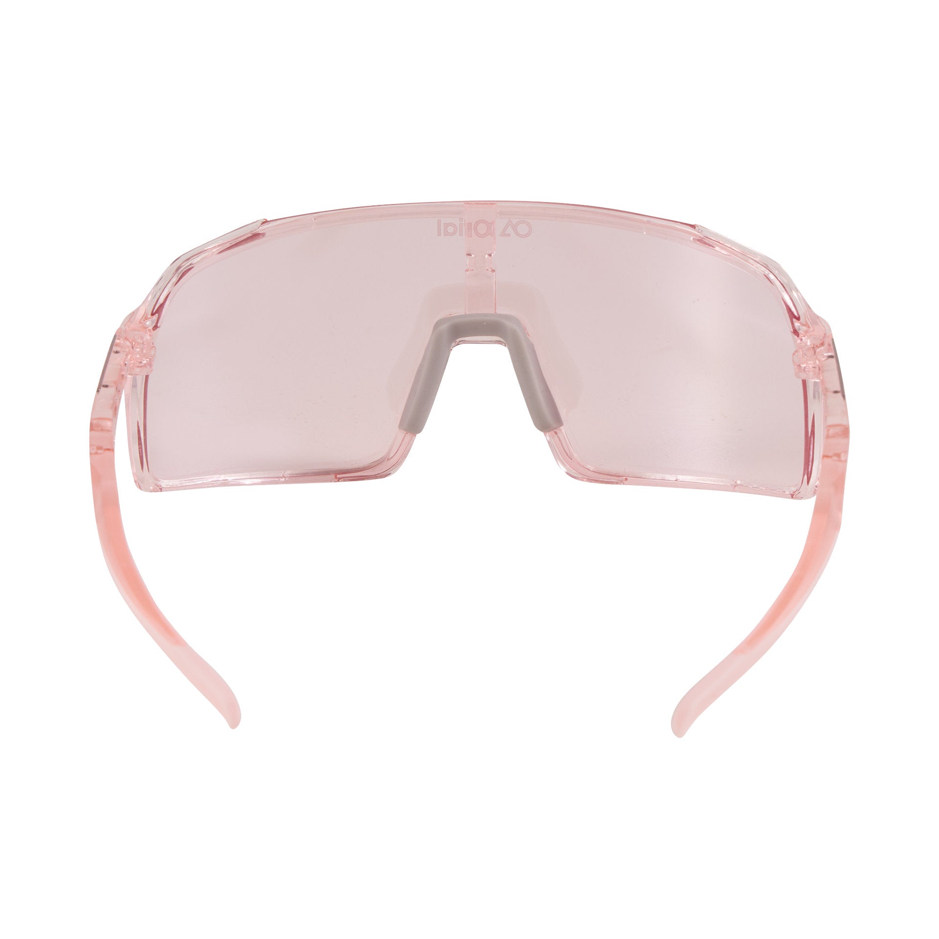 Horizon Pro Glasses 2.0
