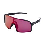 Horizon Pro Glasses 1.0