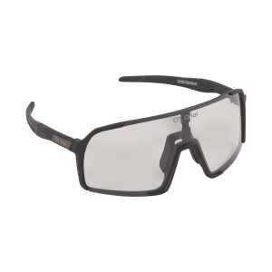 Photochromic Pro Glasses